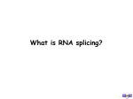 What is RNA splicing?