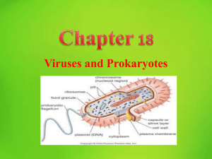 Viruses and Prokaryotes Chapter 18