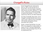 Chargaff`s Rules - Rutgers University