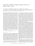 Organization of Inhibitory Frequency Receptive Fields in Cat Primary