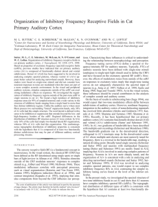 Organization of Inhibitory Frequency Receptive Fields in Cat Primary