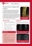 Suspensory Ligament Injury