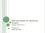 Gas exchange - Our eclass community