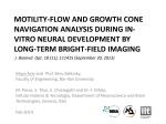 MOTILITY-FLOW AND GROWTH CONE NAVIGATION ANALYSIS