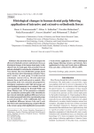 Histological changes in human dental pulp following application of