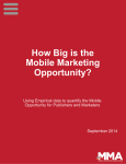 How Big is the Mobile Marketing Opportunity?