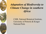Biodiversity Sector in Southern Africa