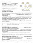 Viral Lytic and Lysogenic Cycles