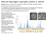 When bad things happen to good genes: mutation vs. selection