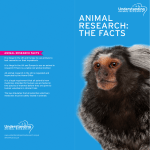 animal research: the facts - Understanding Animal Research