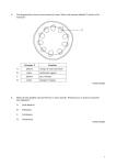 plants sample questions