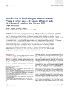 Identification of Saccharomyces cerevisiae Genes Whose Deletion