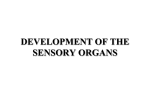 DEVELOPMENT OF THE SENSORY ORGANS