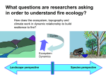 fire ecology questions