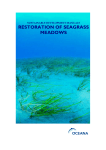 restoration of seagrass meadows