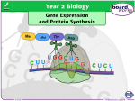 Gene Expression and Protein Synthesi
