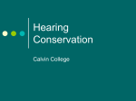 Hearing Conservation