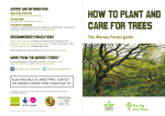 how to plant and care for trees