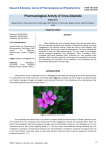 Pharmacological Activity of Vinca Alkaloids