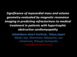 Significance of myocardial mass and volume geometry evaluated by