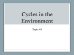 Cycles in the Environment Topic #5