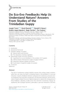 Do Eco-Evo Feedbacks Help Us Understand Nature? Answers From