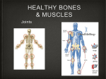 Muscles Joints and Movement power point_2014