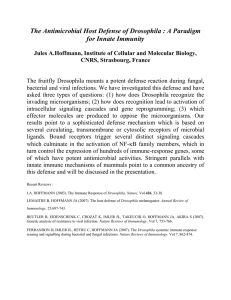 The Antimicrobial Host Defense of Drosophila : A paradigm for