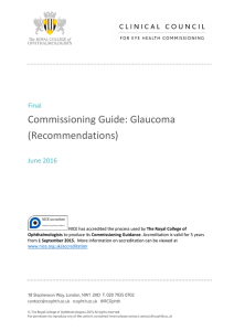 Commissioning Guide: Glaucoma (Recommendations)