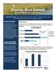 Blue Carbon Fact Sheet - Mission