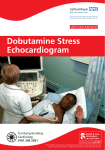 Dobutamine Stress Echocardiogram