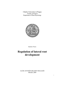 Regulation of lateral root development