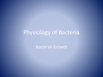 Physiology of Bacteria