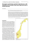 Norwegian anorthosites and their industrial uses, with emphasis on