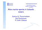 Alien marine species in Icelandic waters