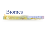 Biomes - Mrs. Tes de Luna`s Science Class