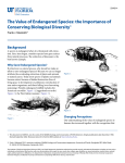 The Value of Endangered Species: the Importance of Conserving