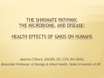 The Shikimate pathway, gut flora, and disease