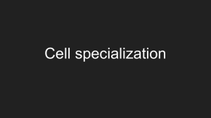 Cell specialization - ahs-snc2d