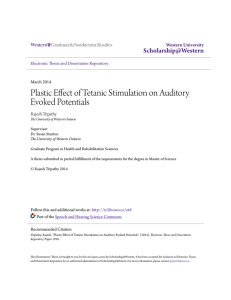 Plastic Effect of Tetanic Stimulation on Auditory Evoked Potentials
