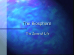 The Biosphere