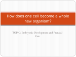 How does one cell become a whole new organism?