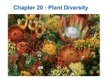 20.1 Origins of Plant Life