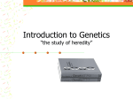 Intro to Genetics Notes