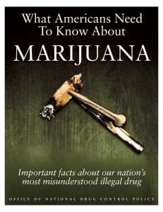 What Americans Need to Know About Marijuana