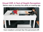 Visual Cliff: A Test of Depth Perception