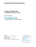 The Caspian Sea - European Environment Agency
