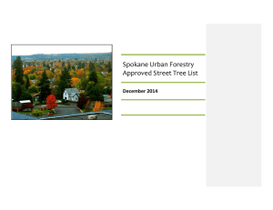 Spokane Urban Forestry Approved Street Tree List