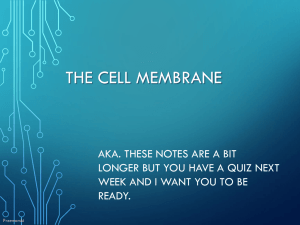 Membrane Structure
