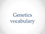 Genetics vocabulary